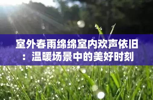 室外春雨绵绵室内欢声依旧：温暖场景中的美好时刻