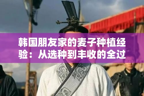 韩国朋友家的麦子种植经验：从选种到丰收的全过程分享