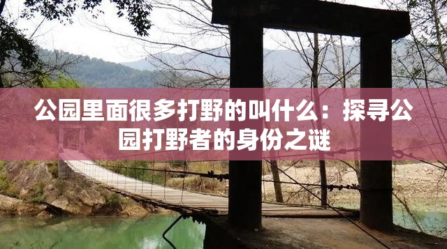 公园里面很多打野的叫什么：探寻公园打野者的身份之谜