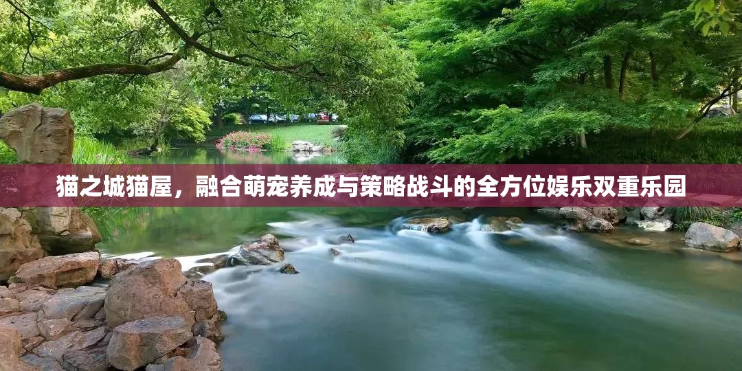 猫之城猫屋，融合萌宠养成与策略战斗的全方位娱乐双重乐园