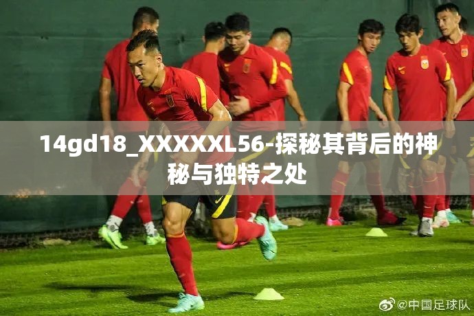14gd18_XXXXXL56-探秘其背后的神秘与独特之处
