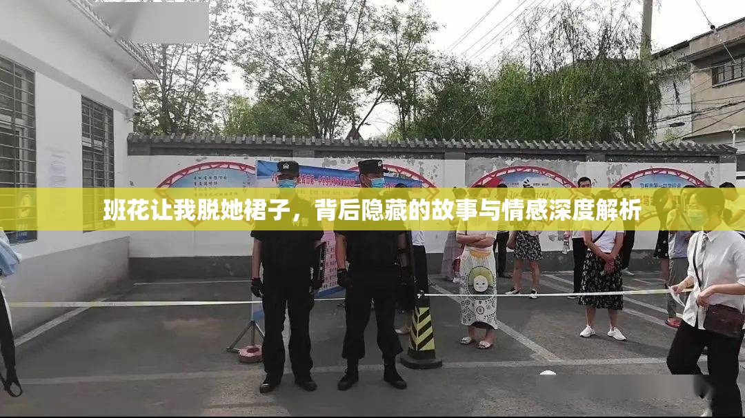 班花让我脱她裙子，背后隐藏的故事与情感深度解析